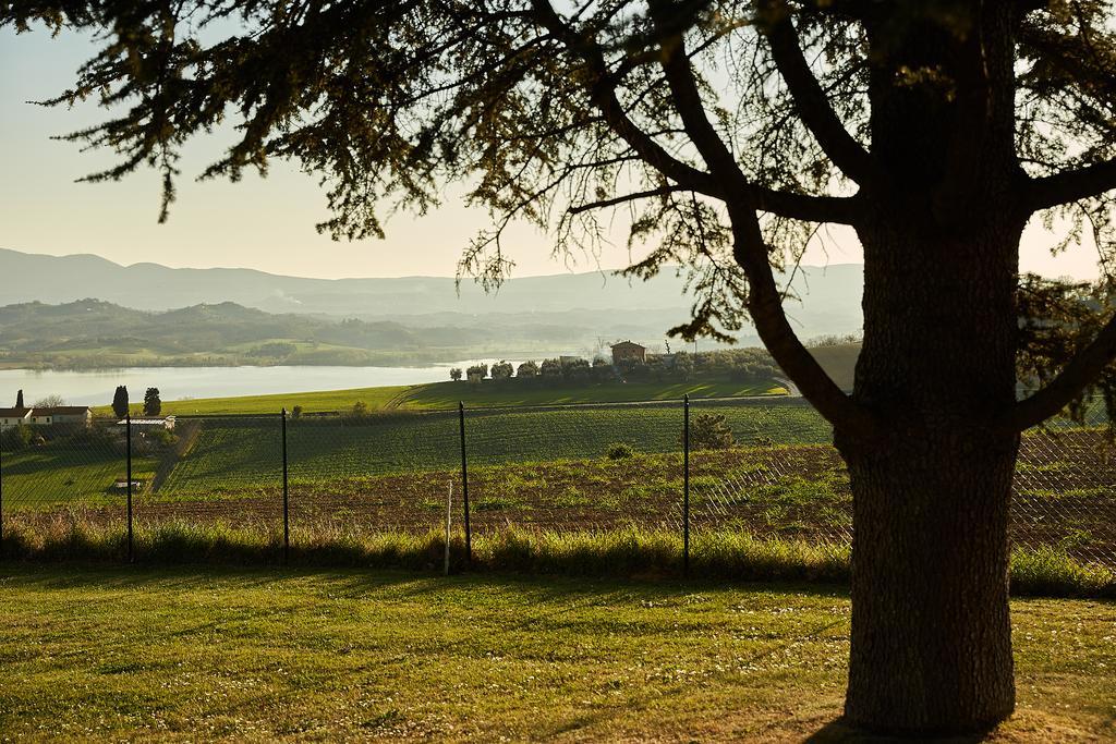 Podere Fontegallo Castiglione del Lago Kültér fotó