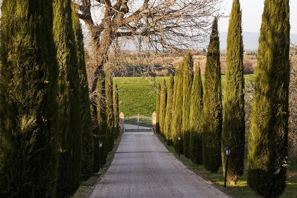 Podere Fontegallo Castiglione del Lago Kültér fotó